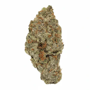 Image of Cannamedical Sativa Forte ES