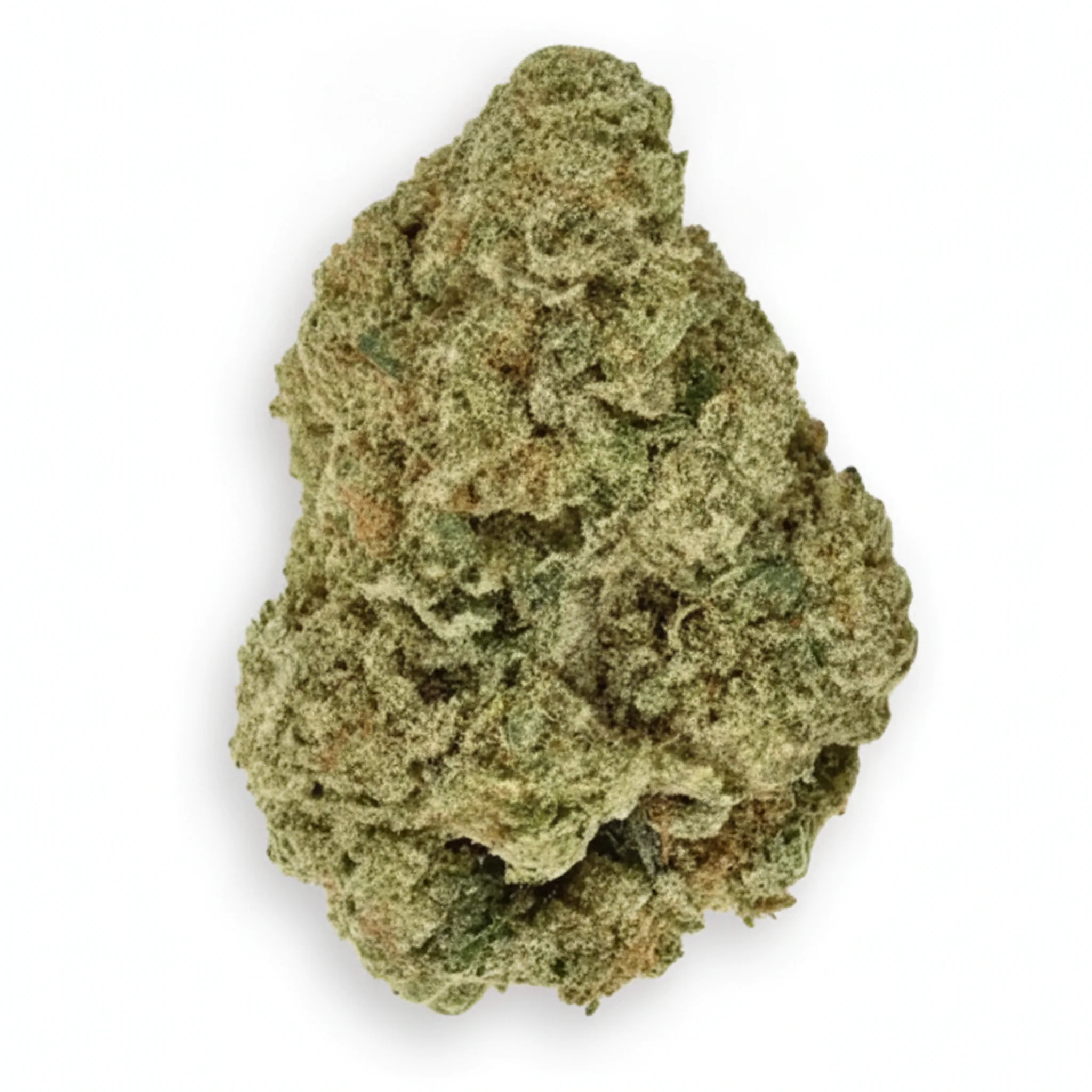 Image of Coyote Valley 24/1 GPN