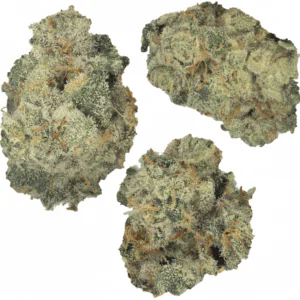 Image of CRQSH CDGs 23/1 Cream Dawg – smalls