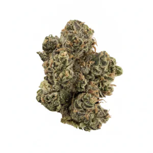 Image of Curaleaf Natural 25/1 CA GCT