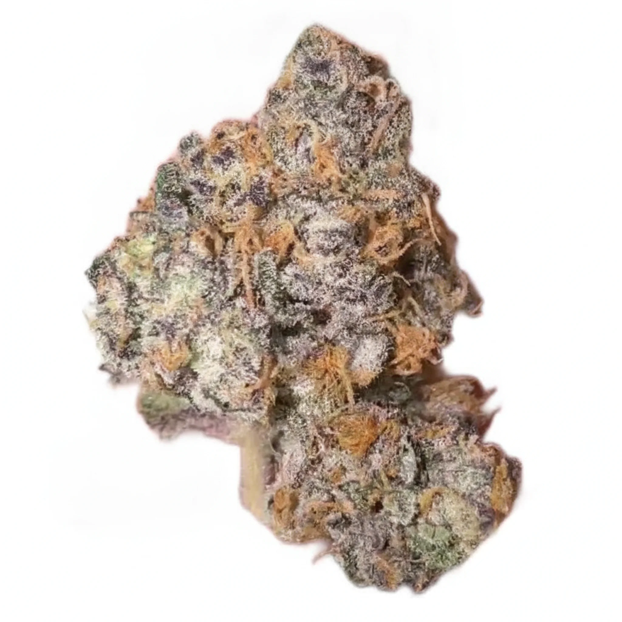 Image of GrowMotion 22/1 ICC