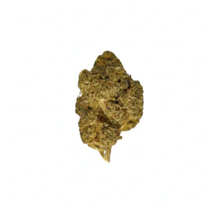 Image of Lit 31/1 STA