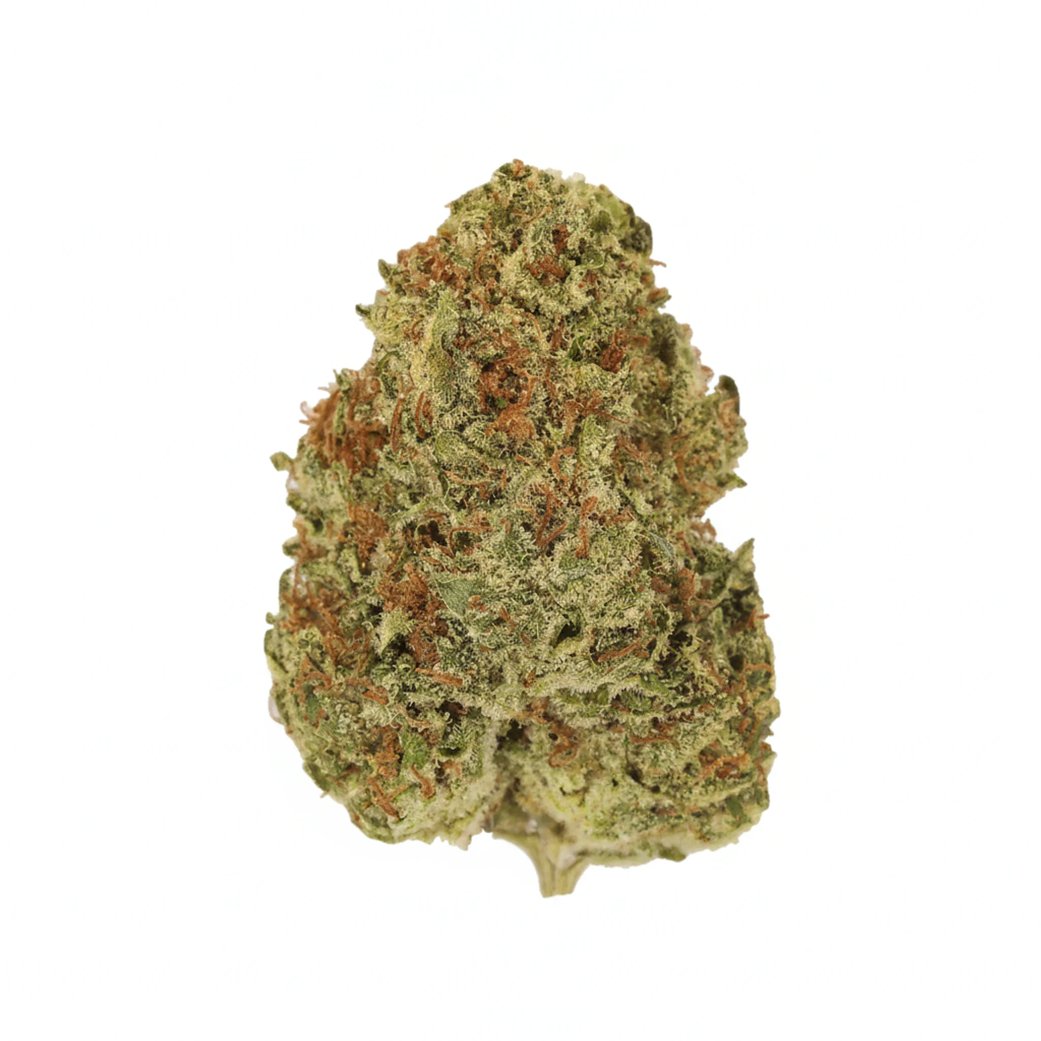 Image of Luana 20/1 MOB