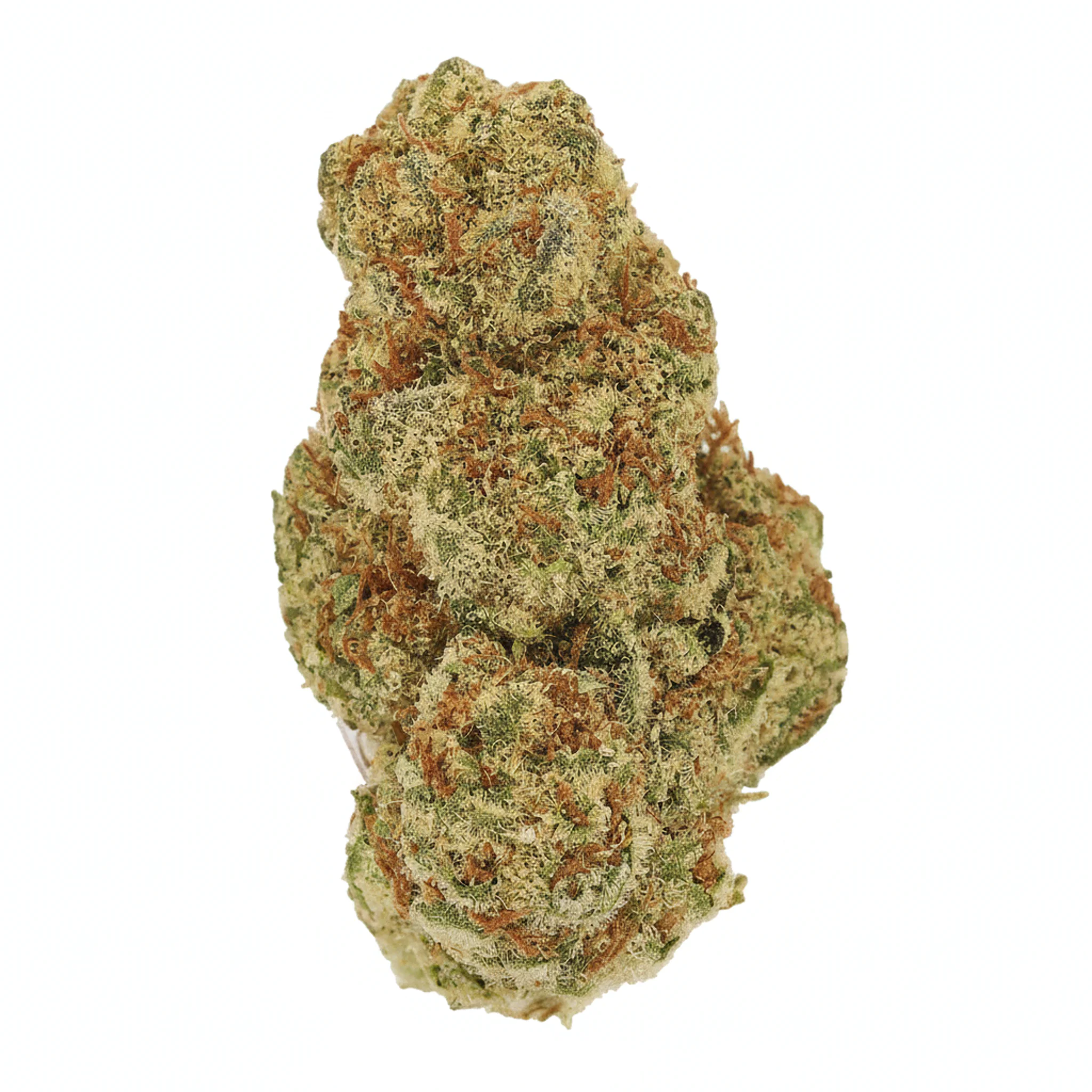 Image of Luana 20/1 PCK