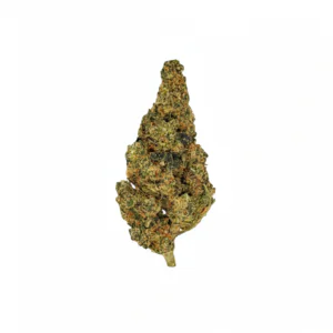Image of Peace Naturals 31/1 GMB