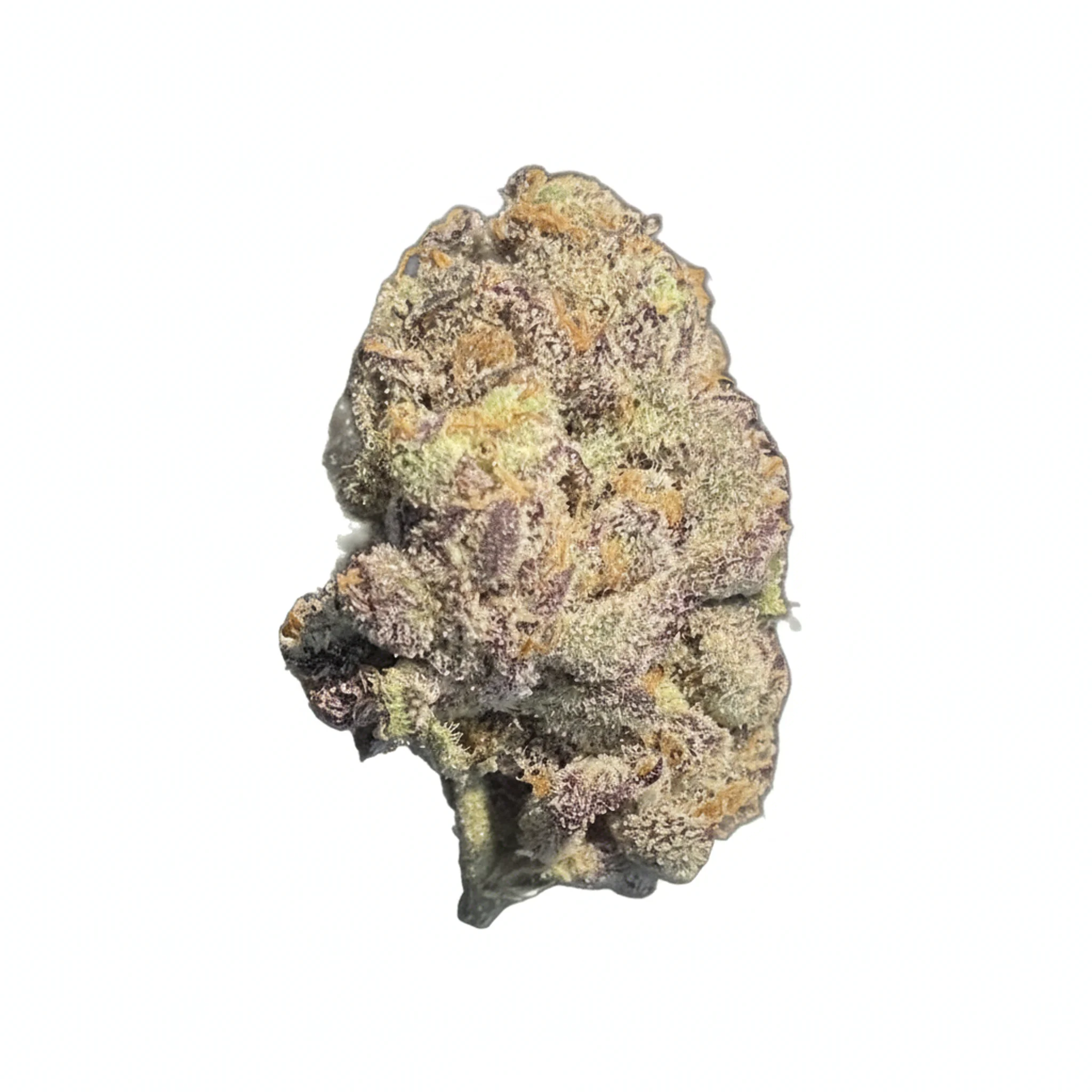 Image of Skypilot GG 27/1