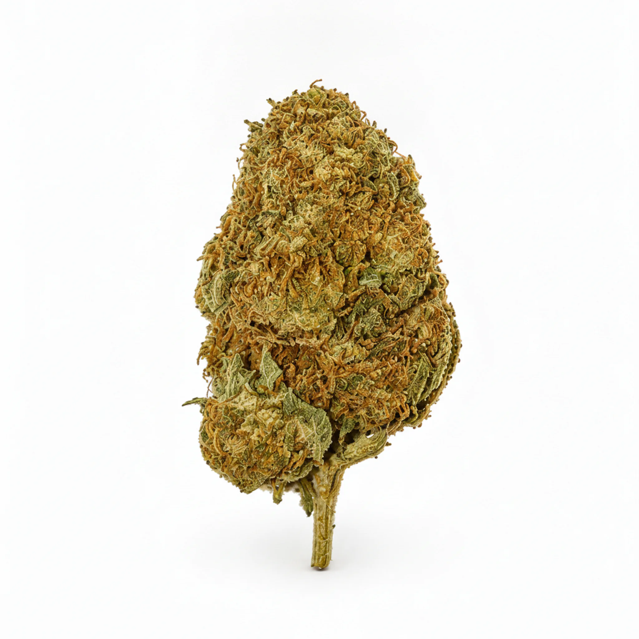 Image of TETRA THC22 Bling Blaow