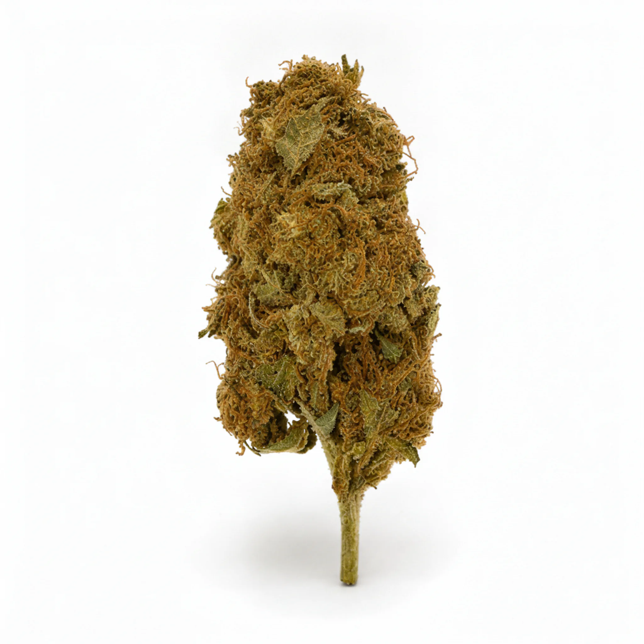 Image of TETRA THC22 S. Diesel
