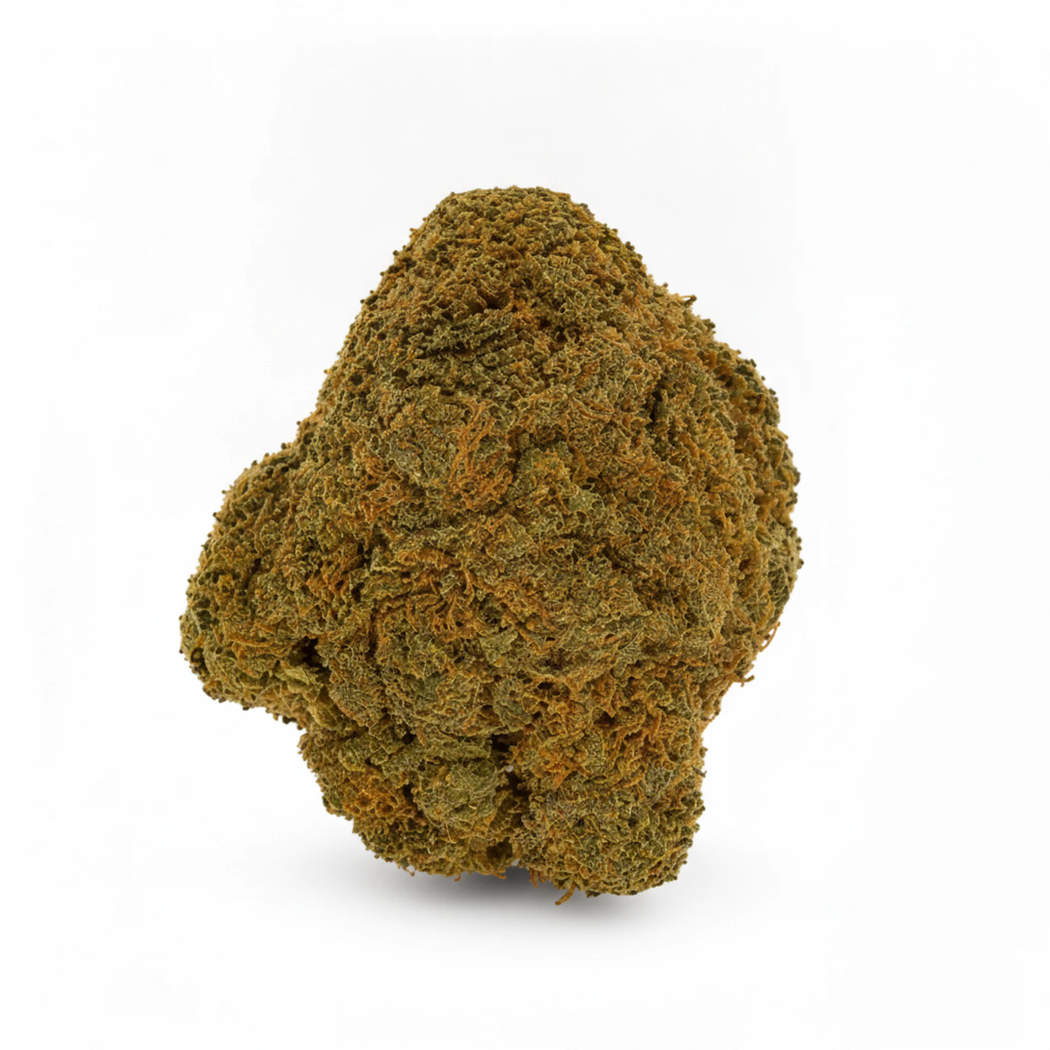 Image of TETRA THC22 S.L.F