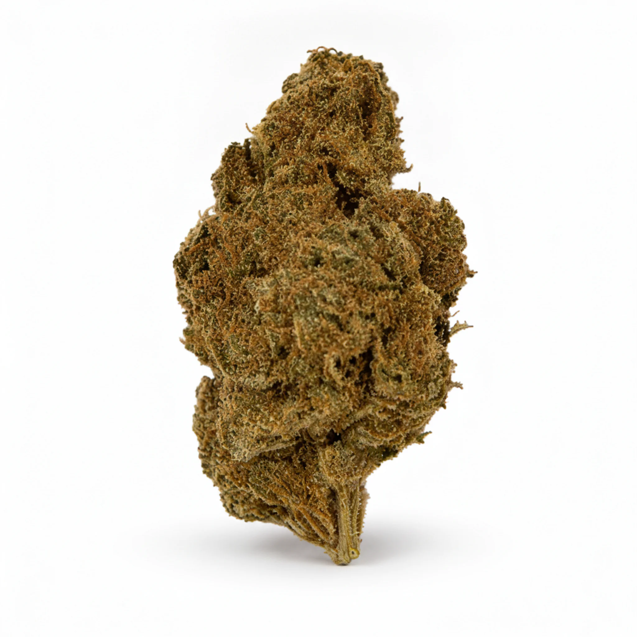 Image of TETRA THC25 Waffle Bites