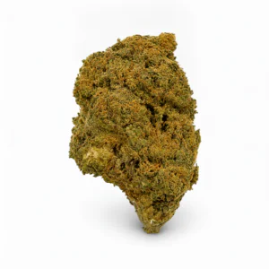 Image of Tetra THC27 B.C.P