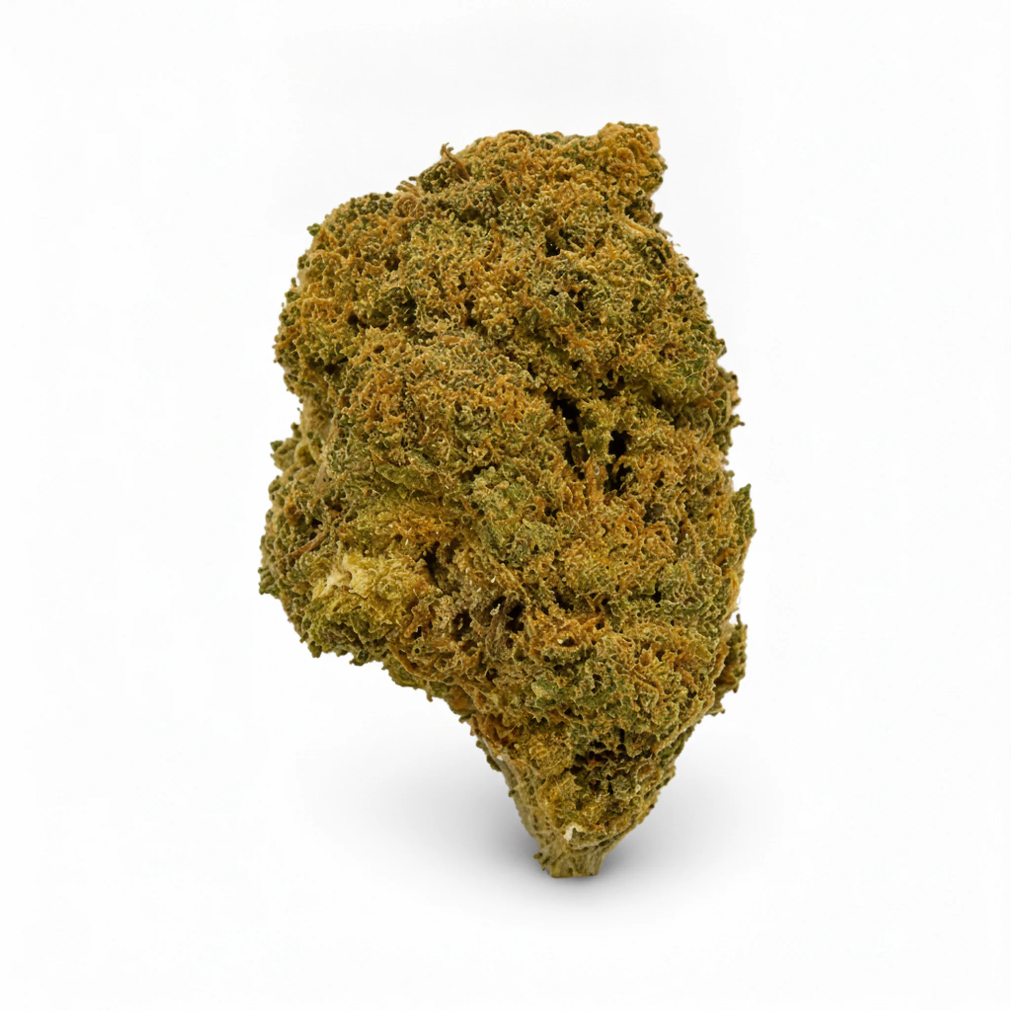 Image of Tetra THC27 B.C.P